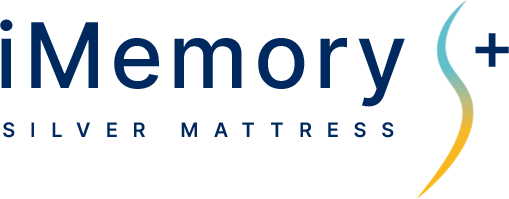 Logotip madraca iMemory S+ Silver